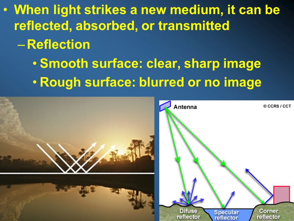 When light strikes a new medium, it can be reflected, absorbed, or transmitted