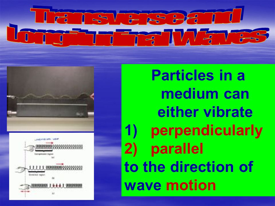 Particles in a medium can either vibrate