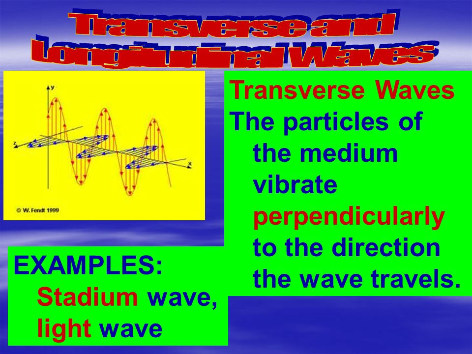 EXAMPLES: Stadium wave, light wave