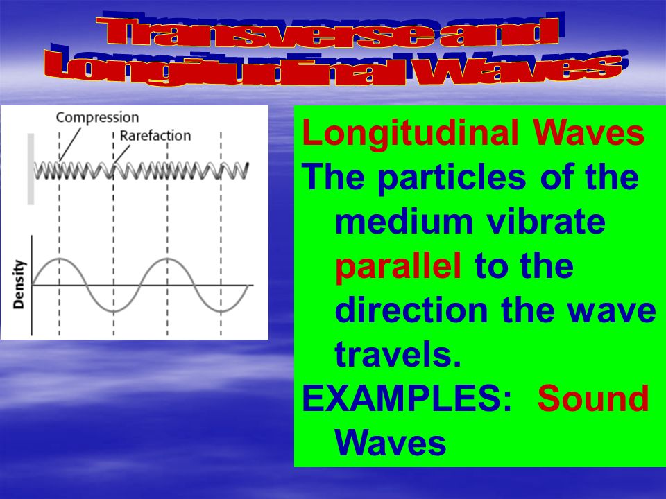Transverse and Longitudinal Waves. Longitudinal Waves. The particles of the medium vibrate parallel to the direction the wave travels.