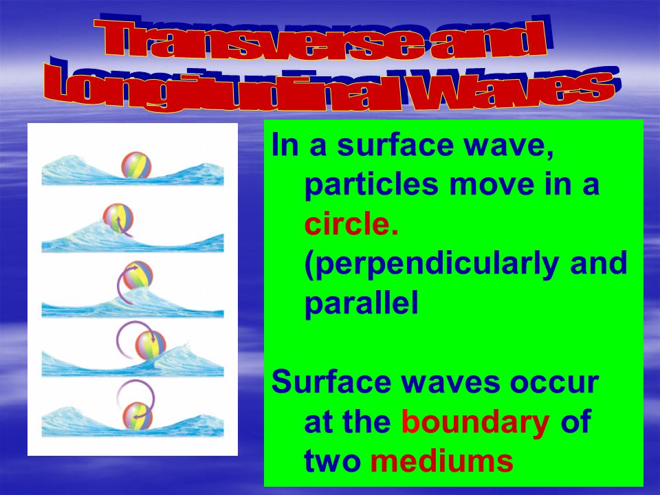 Transverse and Longitudinal Waves. In a surface wave, particles move in a circle. (perpendicularly and parallel.