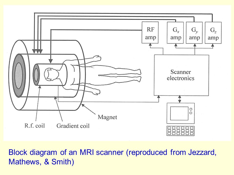 Brain Imaging Using Fsl Ppt Download