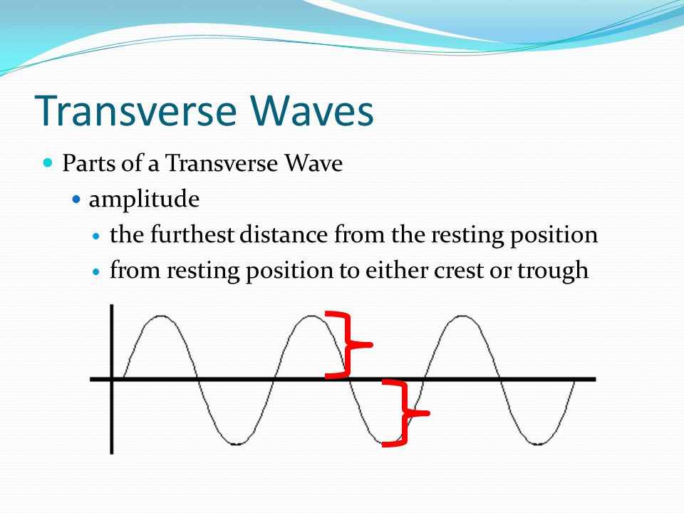 Transverse Waves Parts of a Transverse Wave amplitude