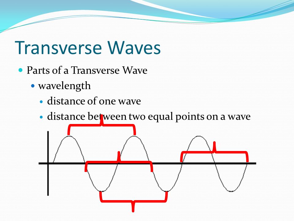 Transverse Waves Parts of a Transverse Wave wavelength