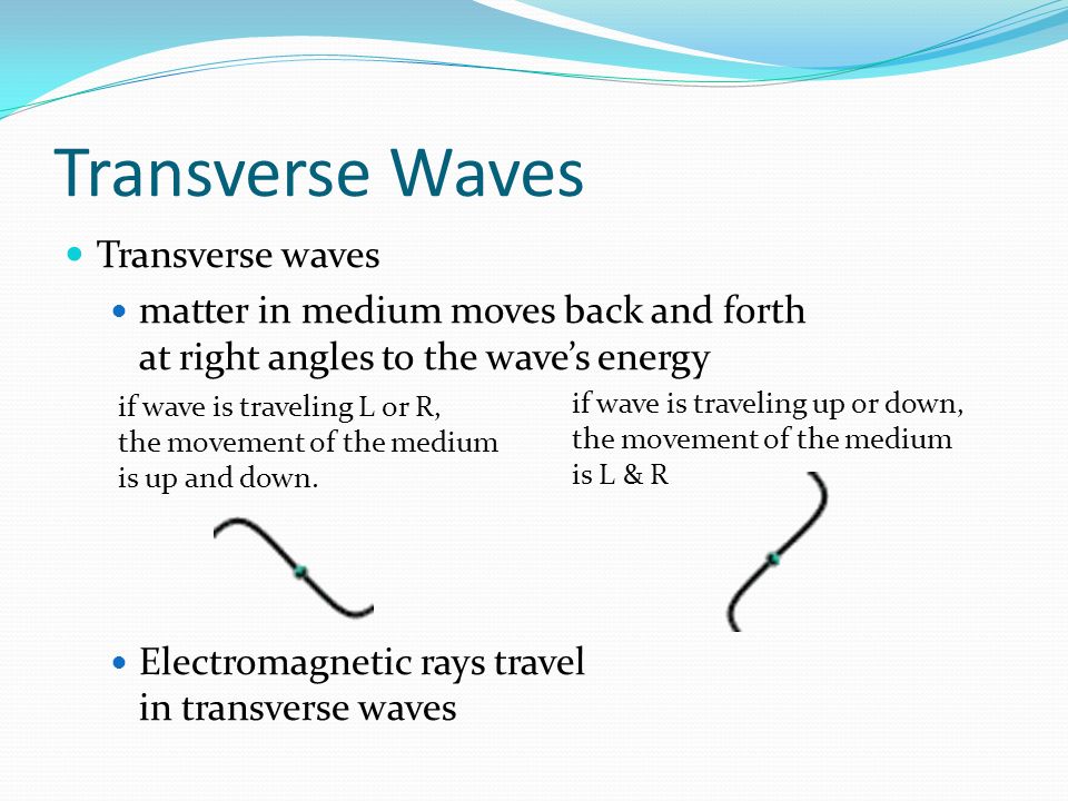 Transverse Waves Transverse waves