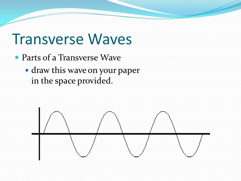 Transverse Waves Parts of a Transverse Wave