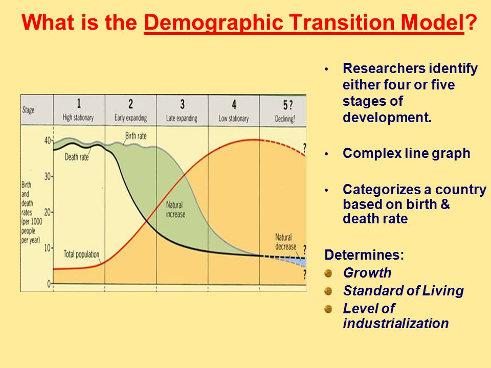 What is the Demographic Transition Model