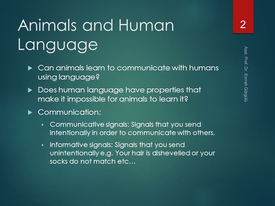 Lecture 3 Animals and Human Language - ppt video online download