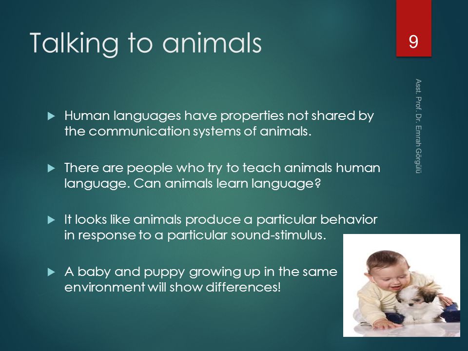 Lecture 3 Animals and Human Language - ppt video online download