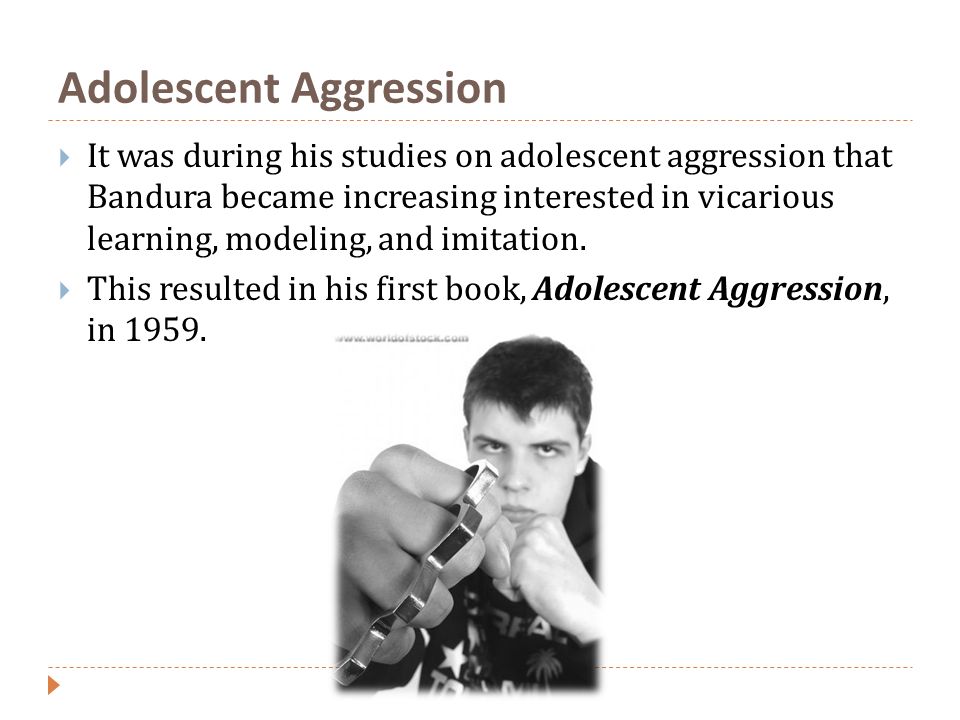 Adolescent Aggression