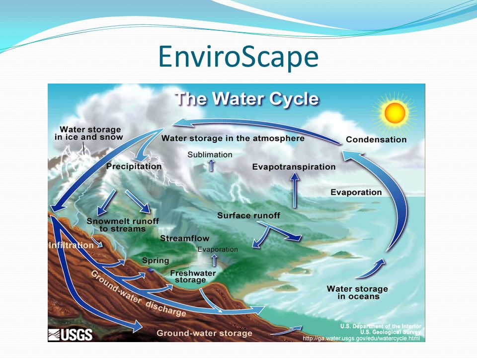 EnviroScape FIRST RUN. Enviroscape: Explain, your corner of the watershed Let kids name parts of the landscape, etc.