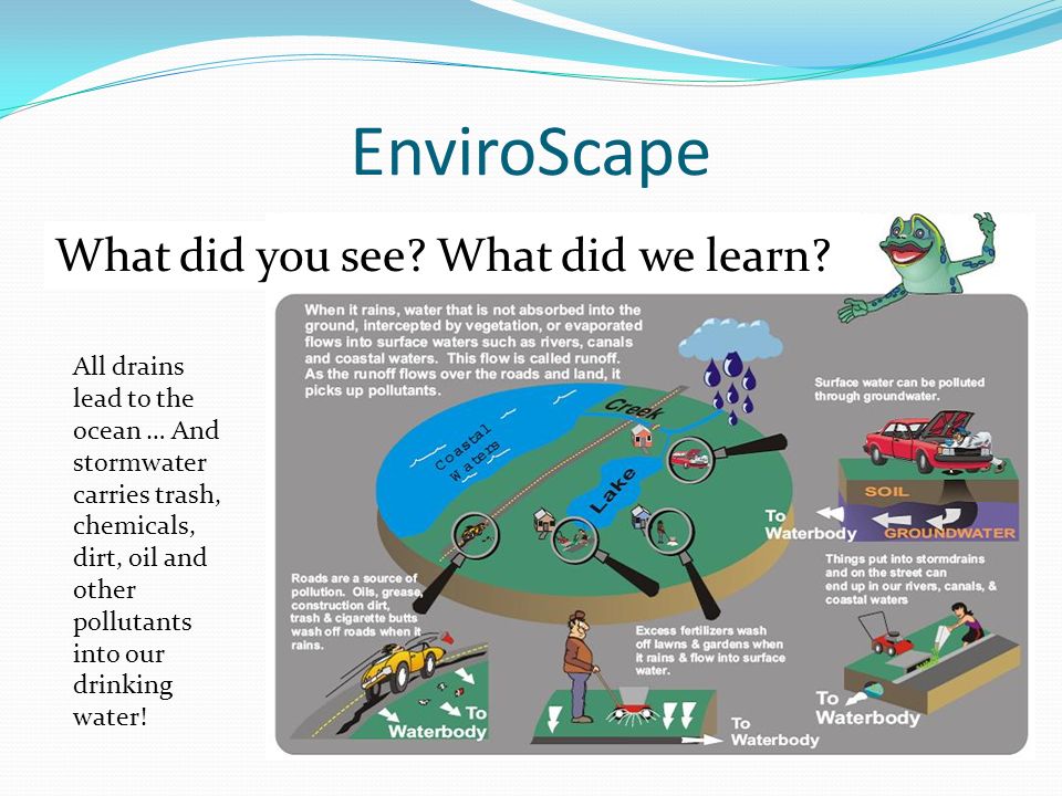 EnviroScape What did you see What did we learn