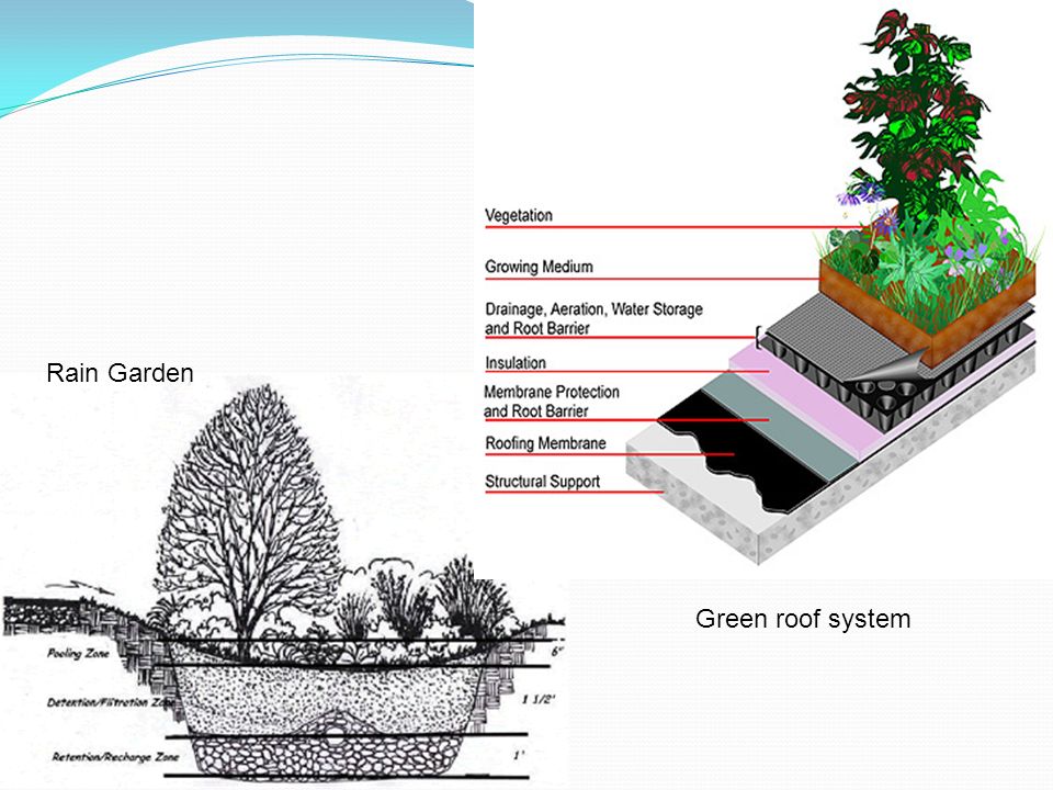 Rain Garden Green roof system
