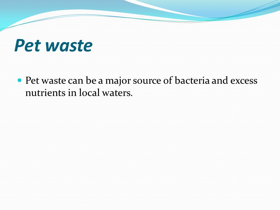 Pet waste Pet waste can be a major source of bacteria and excess nutrients in local waters.