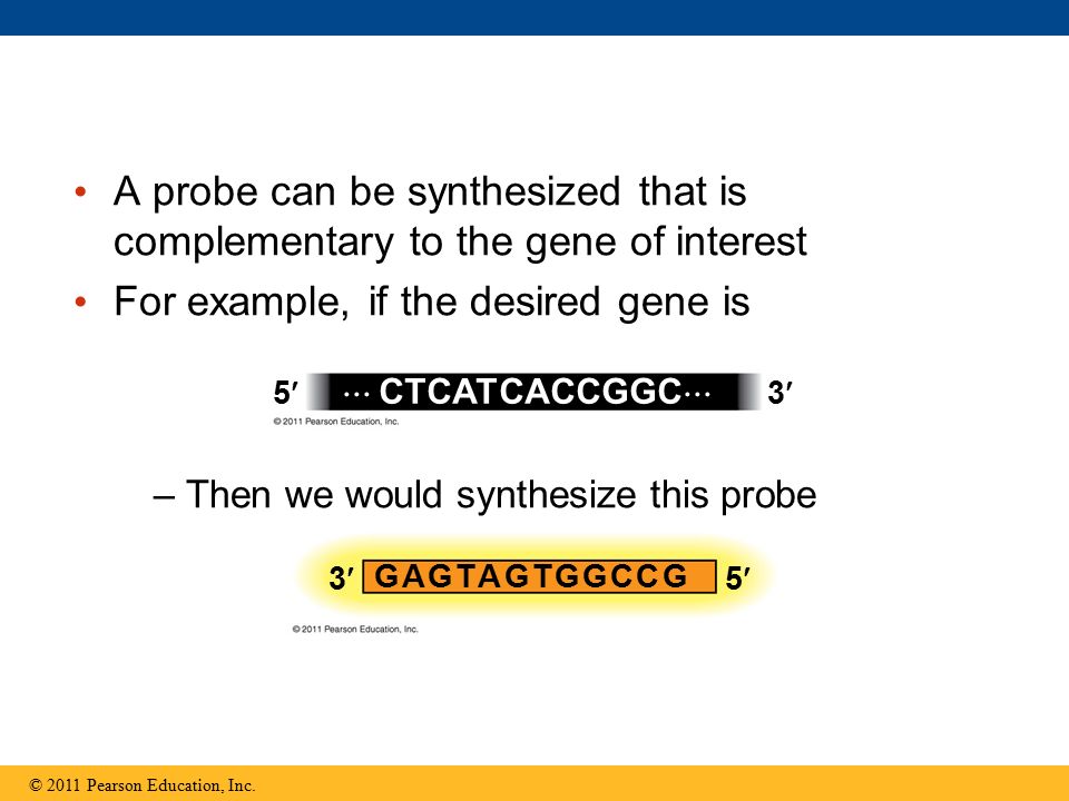 For example, if the desired gene is