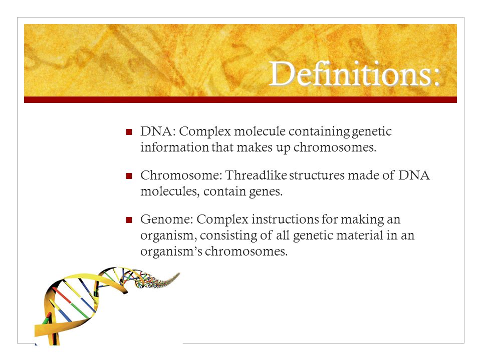 Definitions: DNA: Complex molecule containing genetic information that makes up chromosomes.