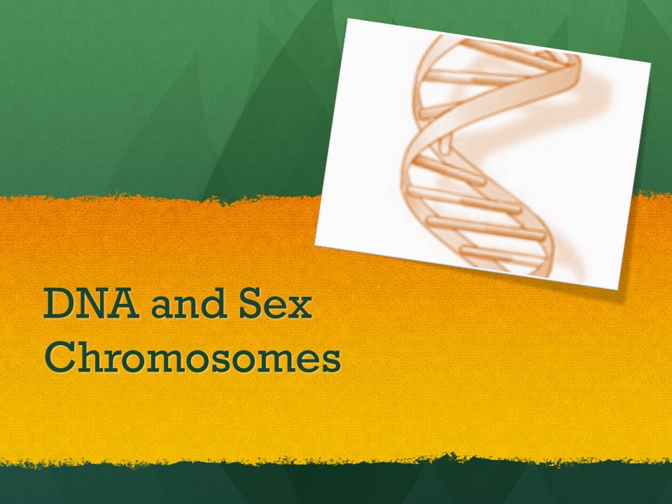 DNA and Sex Chromosomes