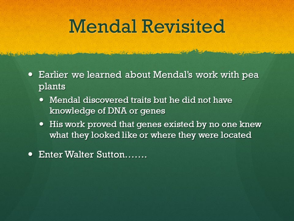 Mendal Revisited Earlier we learned about Mendal’s work with pea plants. Mendal discovered traits but he did not have knowledge of DNA or genes.