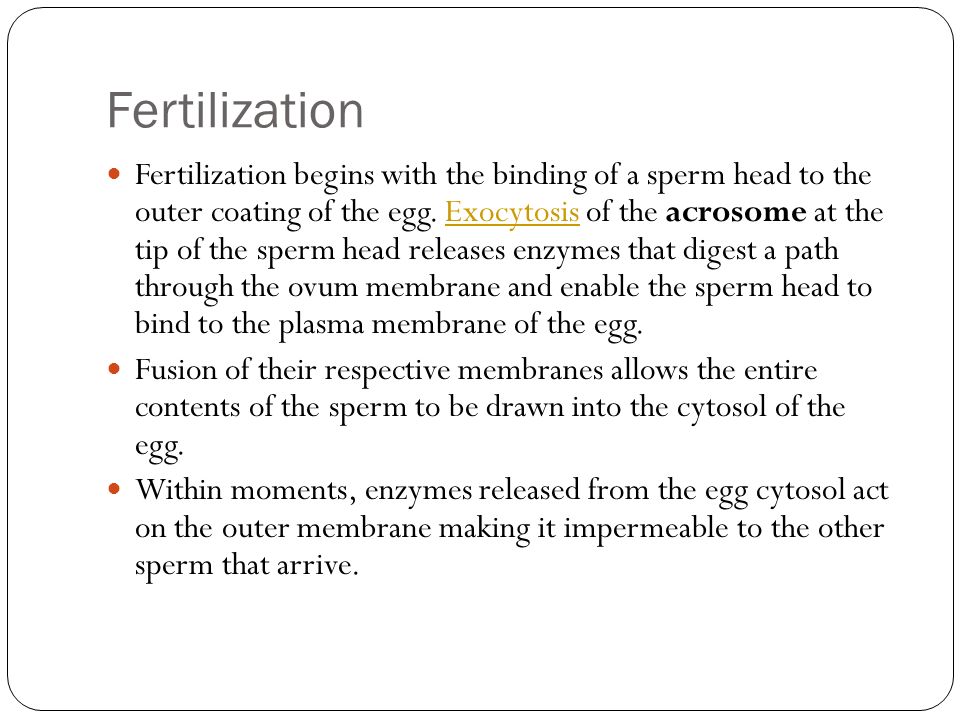 FERTILIZATION AND PREGNANCY - ppt video online download