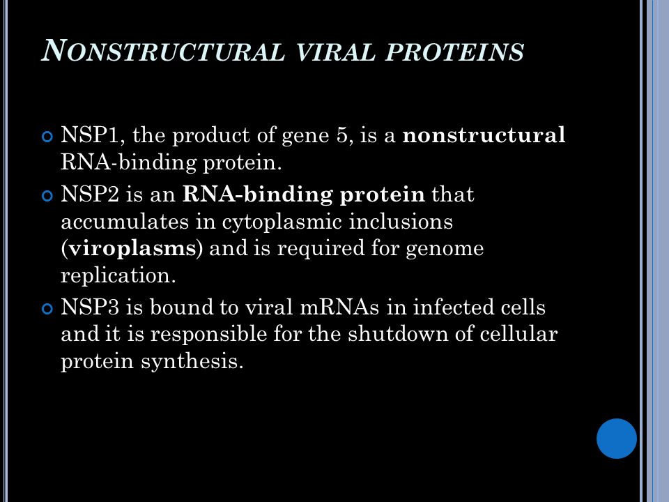 Nonstructural viral proteins