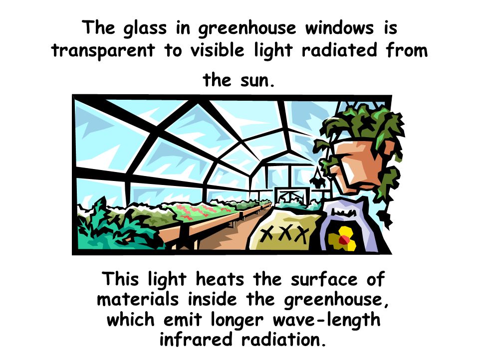 The glass in greenhouse windows is transparent to visible light radiated from the sun.