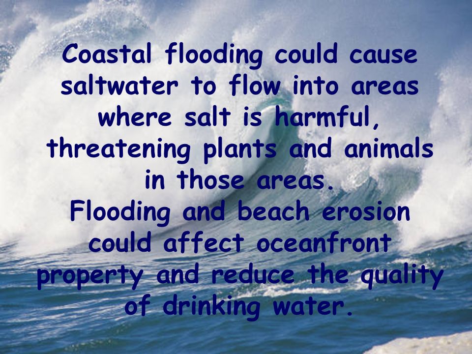 Coastal flooding could cause saltwater to flow into areas where salt is harmful, threatening plants and animals in those areas.