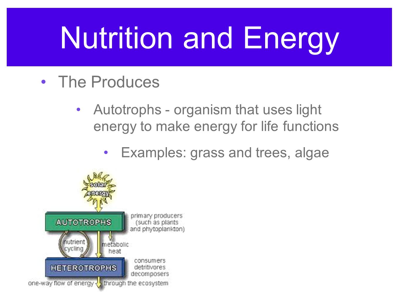 Nutrition and Energy The Produces