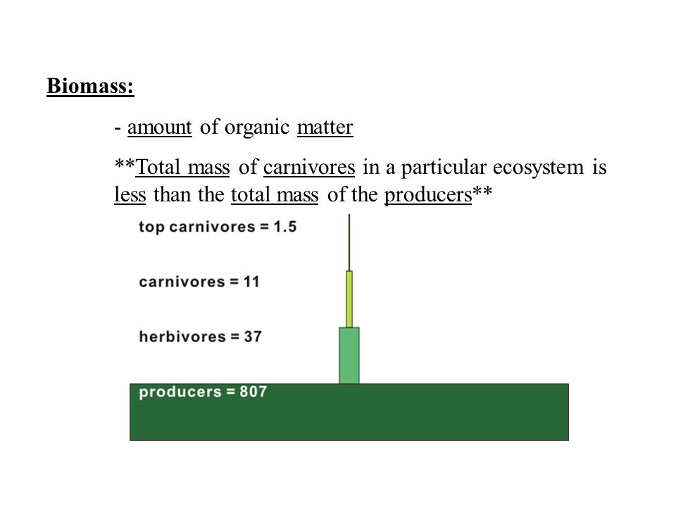 Biomass: - amount of organic matter.