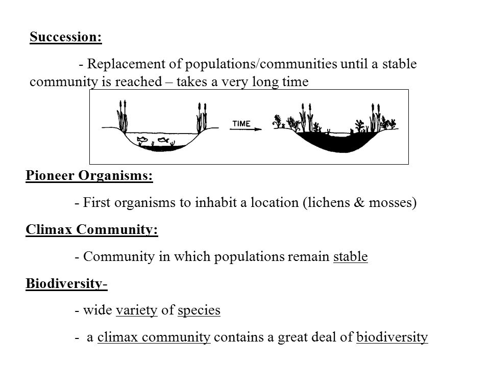 Succession: - Replacement of populations/communities until a stable community is reached – takes a very long time.