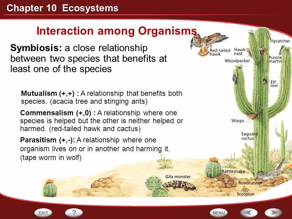 Interaction among Organisms