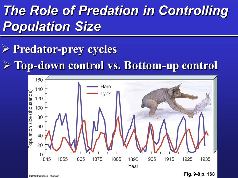 Down control. Population Size. Population Control. Predation Sephra. Crimeseen - population Control (2006).