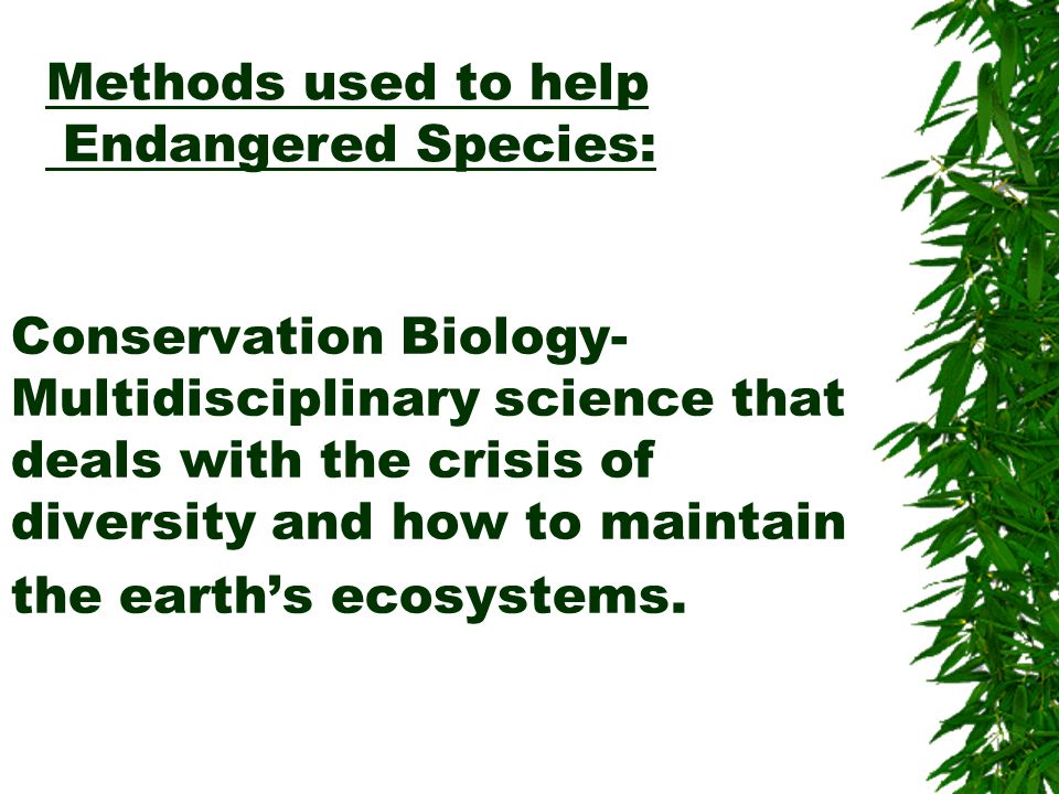 Biological Diversity and Endangered Species - ppt video online download Biological Diversity and Endangered Species - ppt video online download