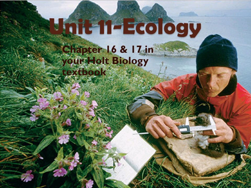 Chapter 16 & 17 in your Holt Biology textbook