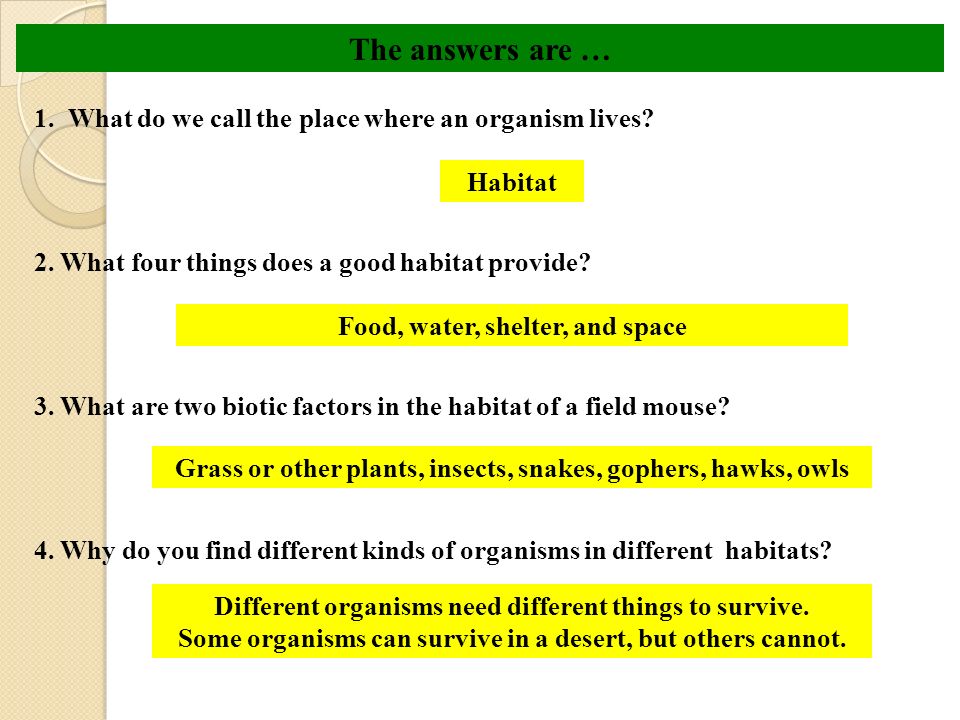 The answers are … 1. What do we call the place where an organism lives 2. What four things does a good habitat provide