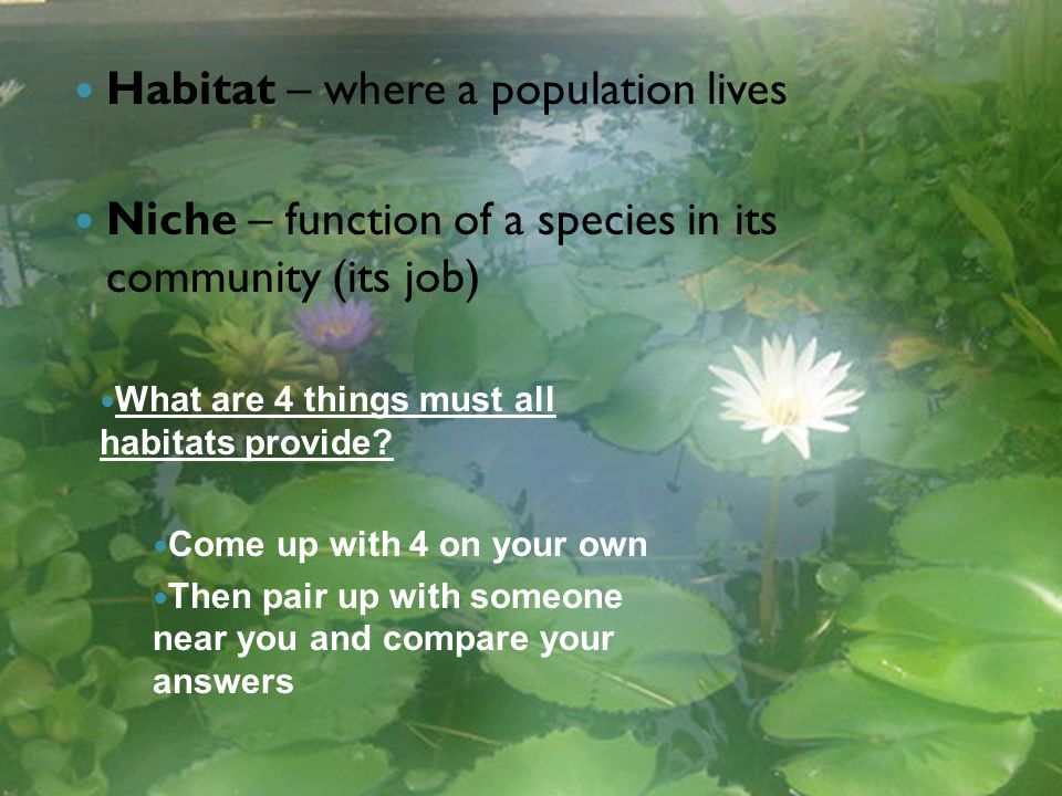 Habitat – where a population lives