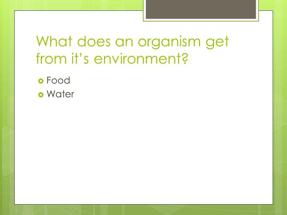 What does an organism get from it’s environment