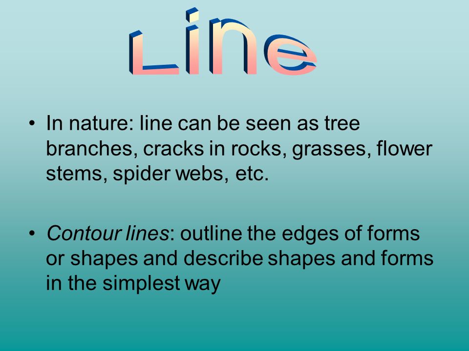 Line In nature: line can be seen as tree branches, cracks in rocks, grasses, flower stems, spider webs, etc.
