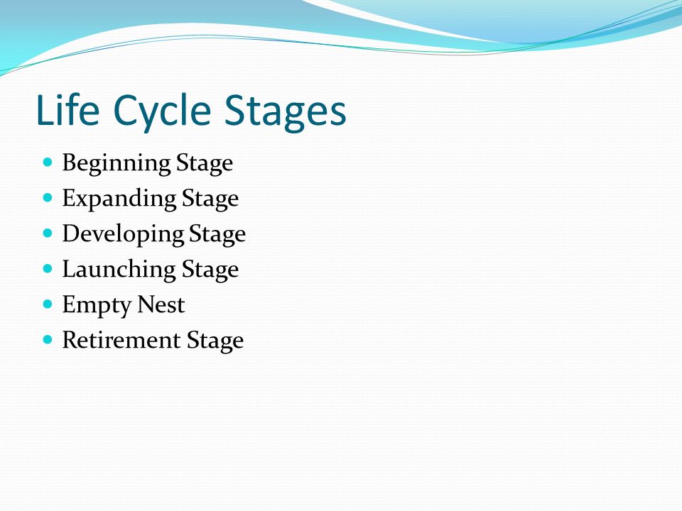 Life Cycle Stages Beginning Stage Expanding Stage Developing Stage