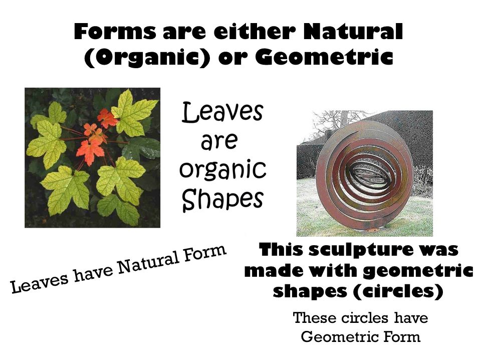 Forms are either Natural (Organic) or Geometric