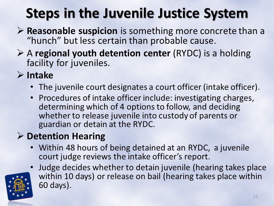 Steps in the Juvenile Justice System