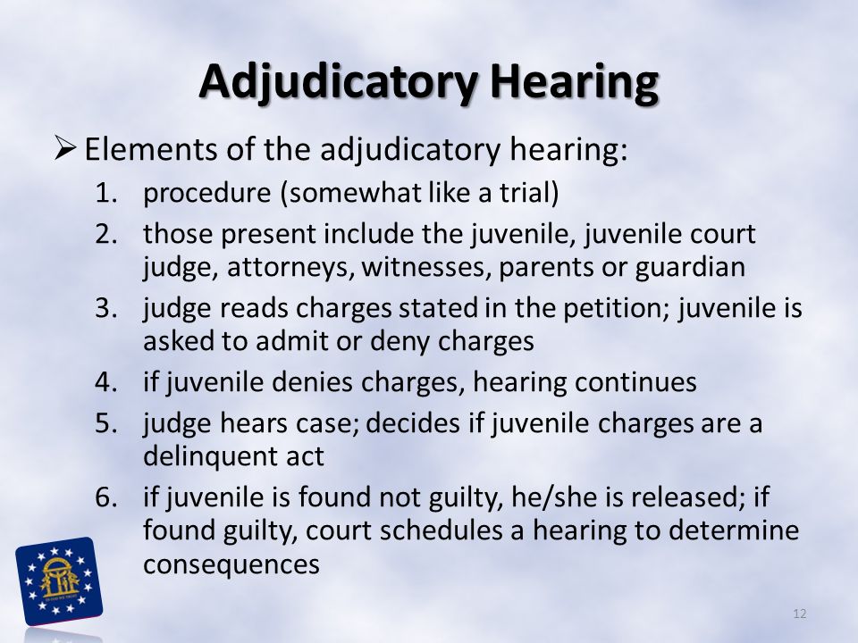 Adjudicatory Hearing Elements of the adjudicatory hearing: