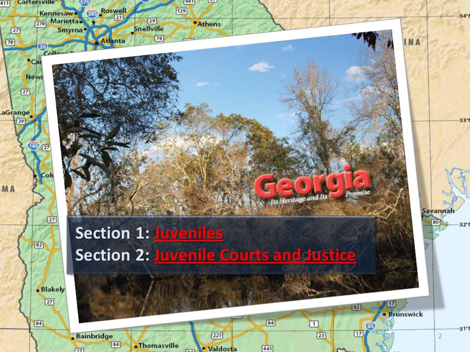 Section 1: Juveniles Section 2: Juvenile Courts and Justice