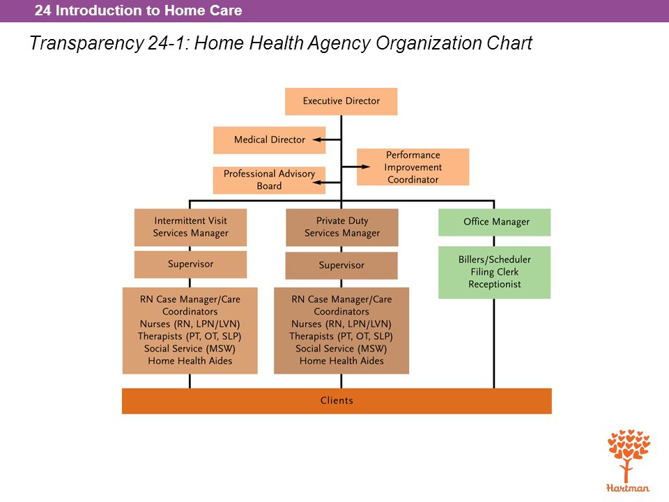 Organizational Chart For Home Health Care Agency