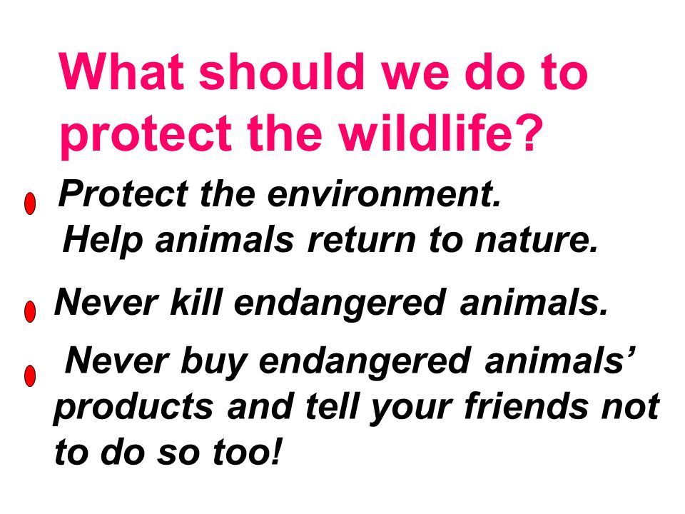 Unit 4 Wildlife Protection. - ppt video online download