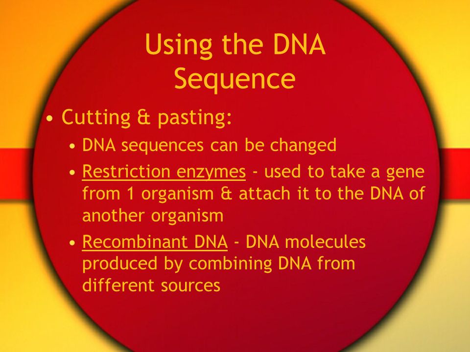 Using the DNA Sequence Cutting & pasting: DNA sequences can be changed