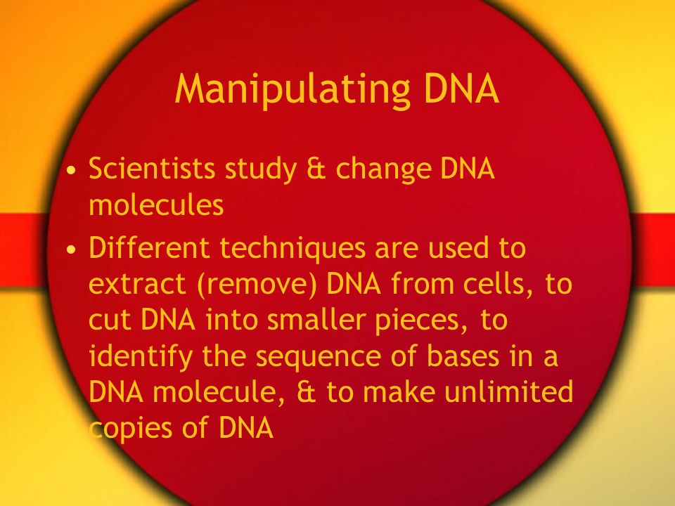 Manipulating DNA Scientists study & change DNA molecules