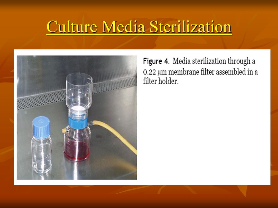 Cell culture technique and its implication - ppt video online download