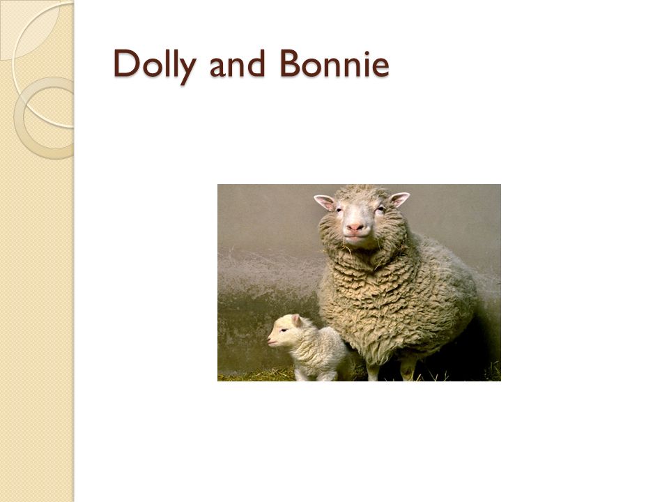 Dolly and Bonnie