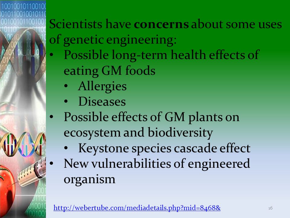 Scientists have concerns about some uses of genetic engineering: