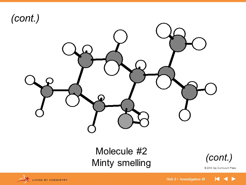 (cont.) Molecule #2 Minty smelling (cont.) Unit 2 • Investigation III